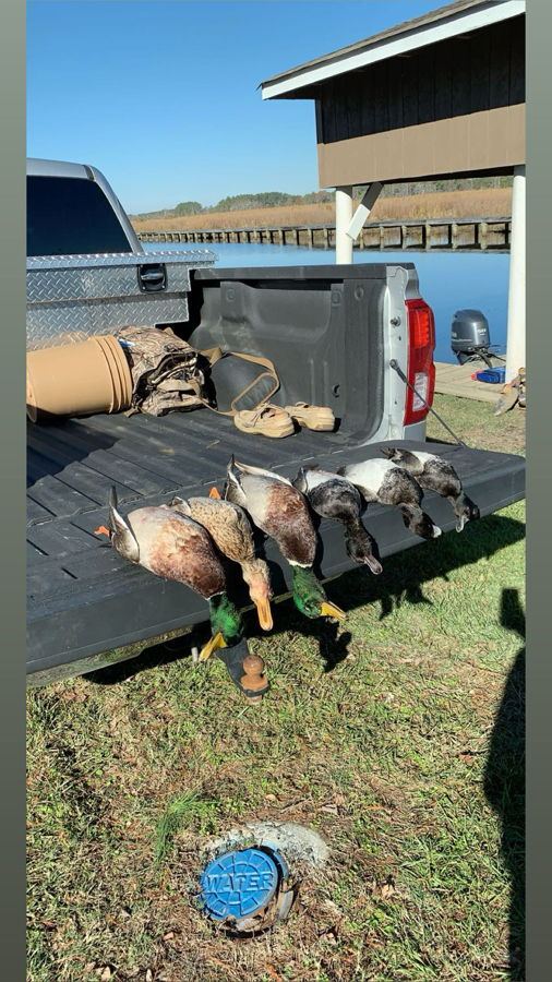 Pair of hunters with limit
