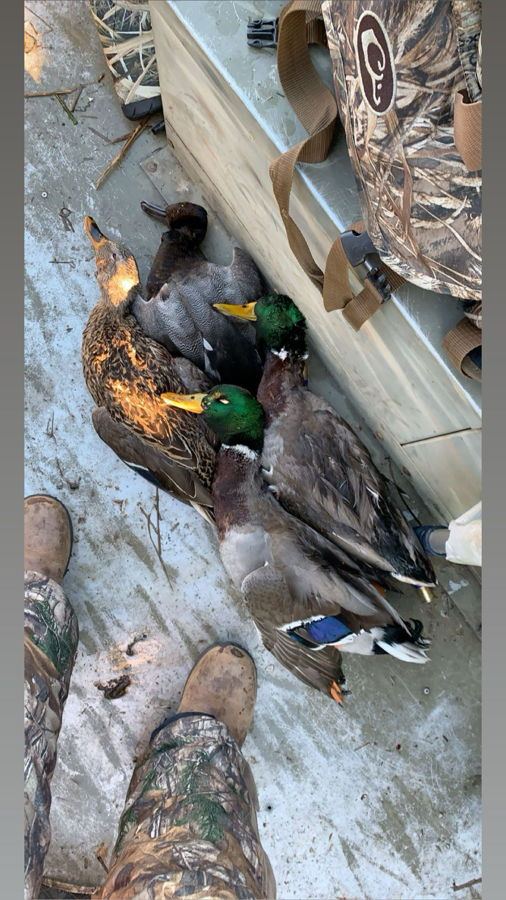 Decoy spread on open water — scissor rig setup